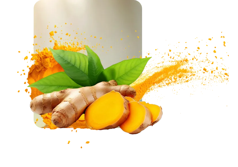 LIVETAL