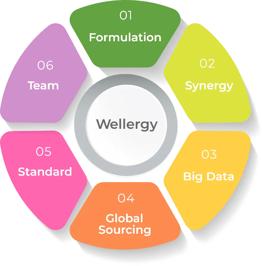 Wellergy honeycomb model